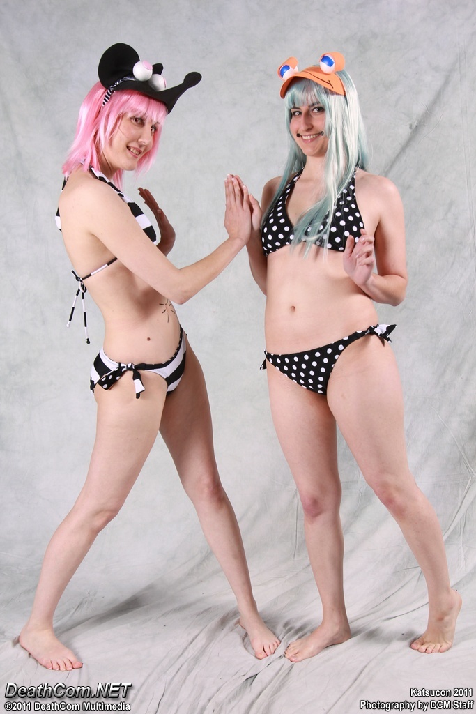 Katsucon_2011_-_Friday_-_0245.jpg