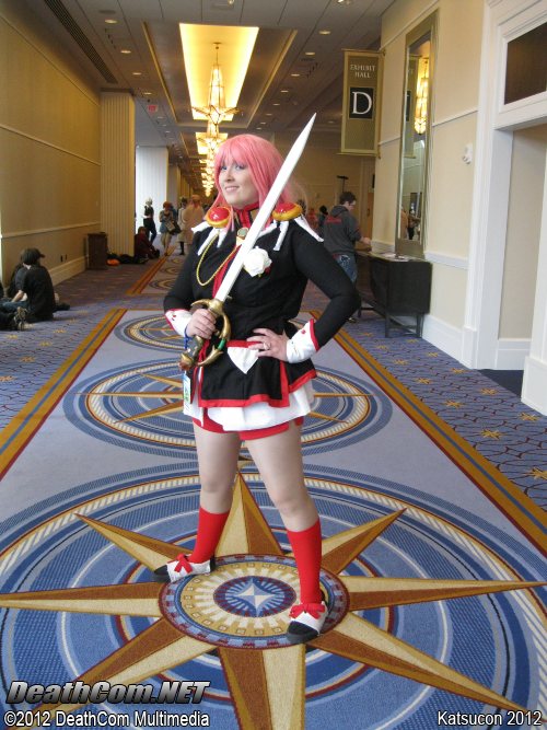 Katsucon_2012_Hall_D1_004.JPG