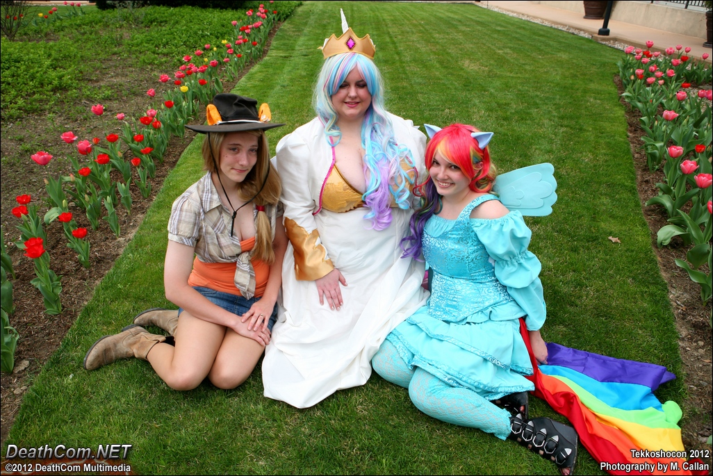 Tekkoshocon_2012_-_CF_DCM_-_Ponies_019.JPG