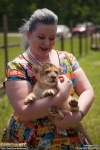 Colossalcon_2013_-_CFJT_-_Baby_Tiger_032.jpg