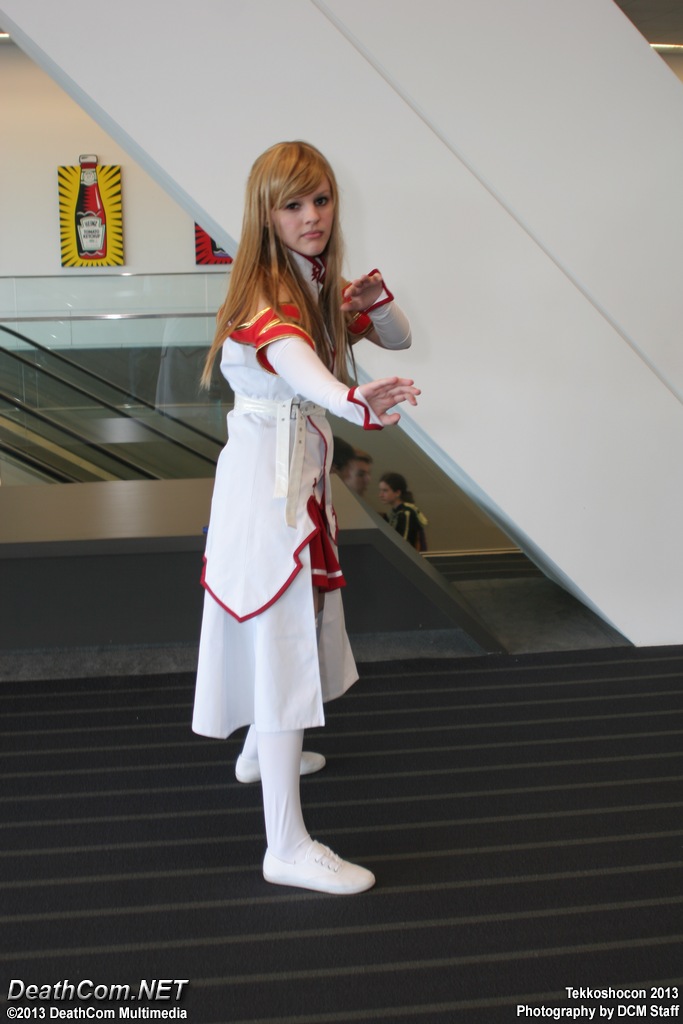 Tekkoshocon_2013_-_Hall_-_020.JPG